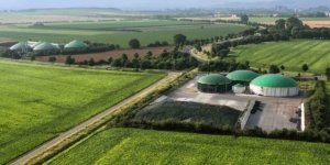 Biogasanlagen: Besteuerung von Wärmelieferung - Ecovis Agrar