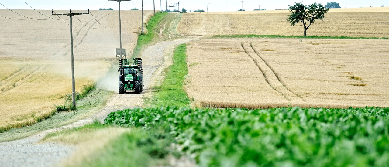 Auf was es bei der Umstrukturierung in der Landwirtschaft ankommt