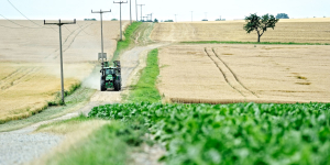 Auf was es bei der Umstrukturierung in der Landwirtschaft ankommt - Ecovis Agrar