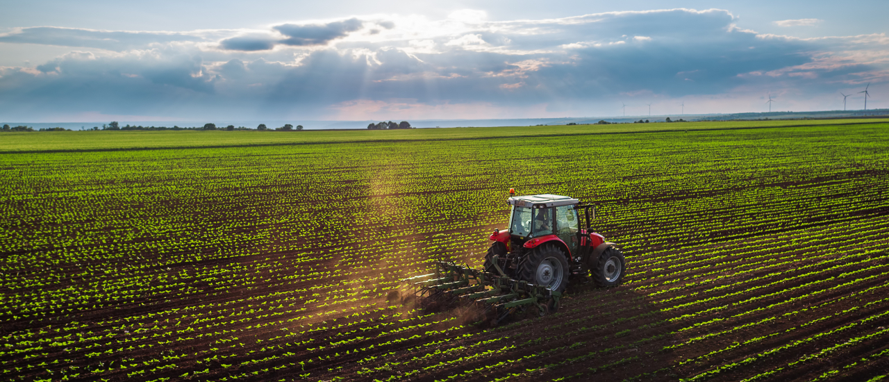 Steuersatz für Umsatzsteuerpauschalierung sinkt: Finanzielle Einbußen für die Landwirtschaft