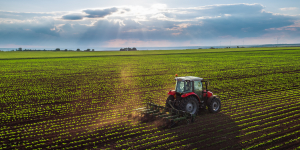 Steuersatz für Umsatzsteuerpauschalierung sinkt: Finanzielle Einbußen für die Landwirtschaft - Ecovis Agrar