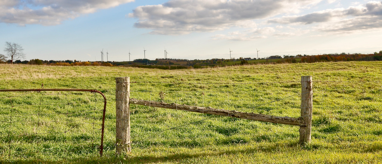 ESG related FAQs by EU, Nature Restoration Law and BAM Reporting