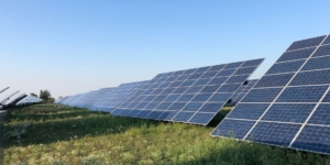 Solarpaket I in Kraft getreten: Das ändert sich jetzt - Ecovis Unternehmensberater